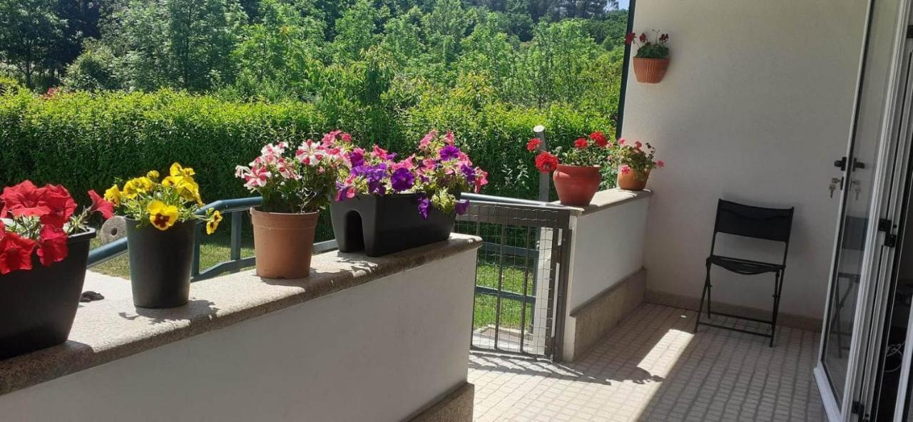 Villa Garden & Pool - Alojamentos Селорику ди Бащу Екстериор снимка