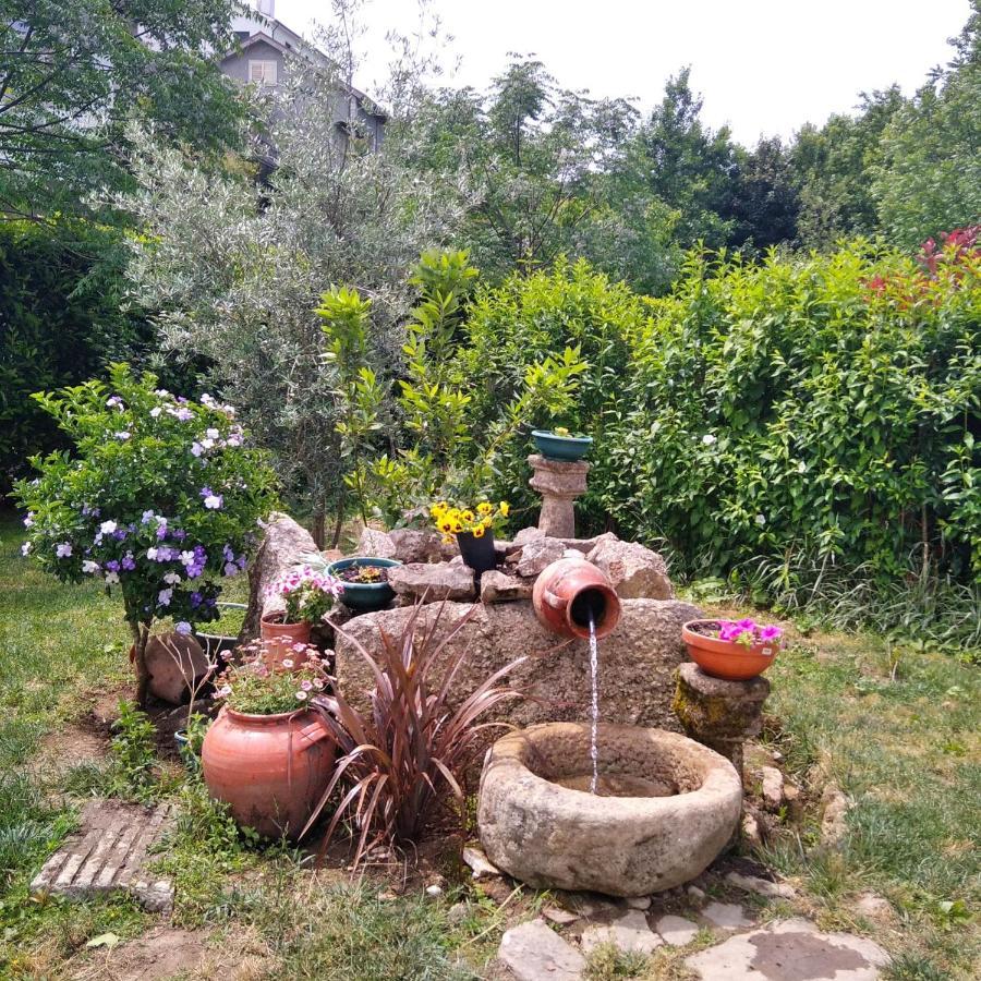 Villa Garden & Pool - Alojamentos Селорику ди Бащу Екстериор снимка